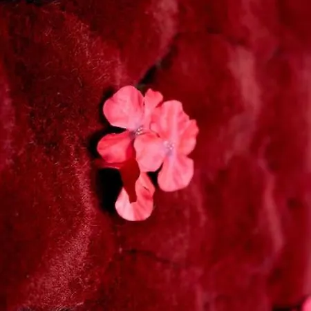 Apartmán Le Donjon Secret Caen