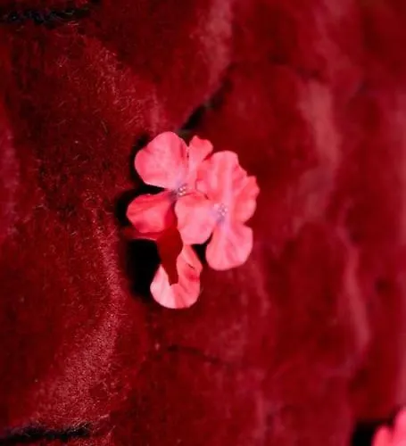 Apartmán Le Donjon Secret Caen